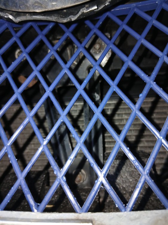 20250912_065521.jpg
