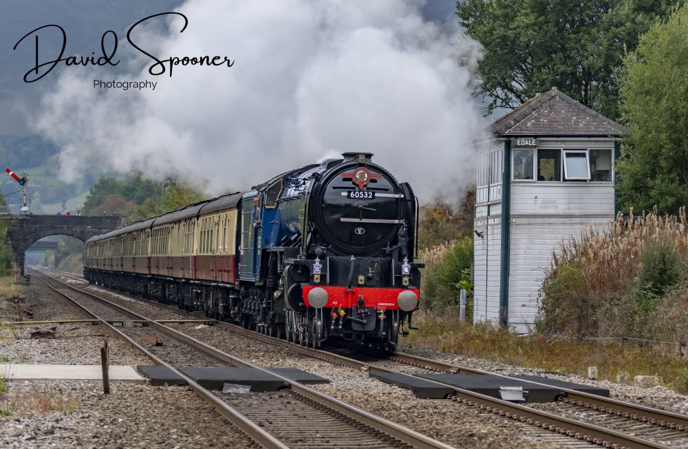DSC_3043_Sig.jpg