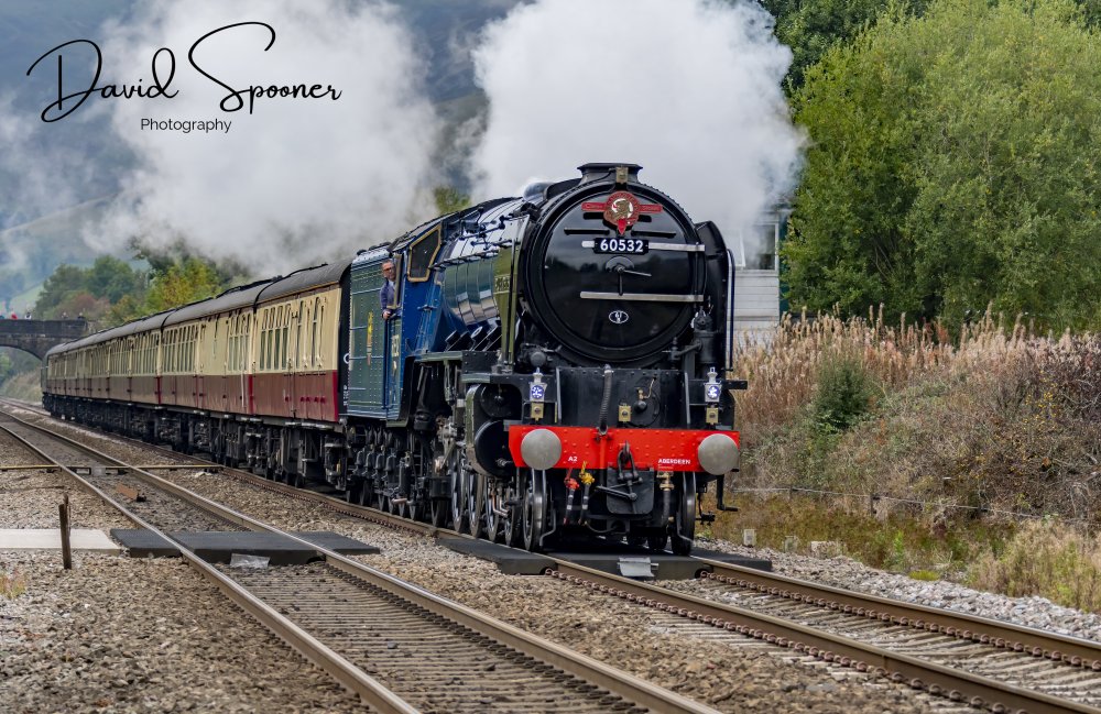 DSC_3047_Sig.jpg