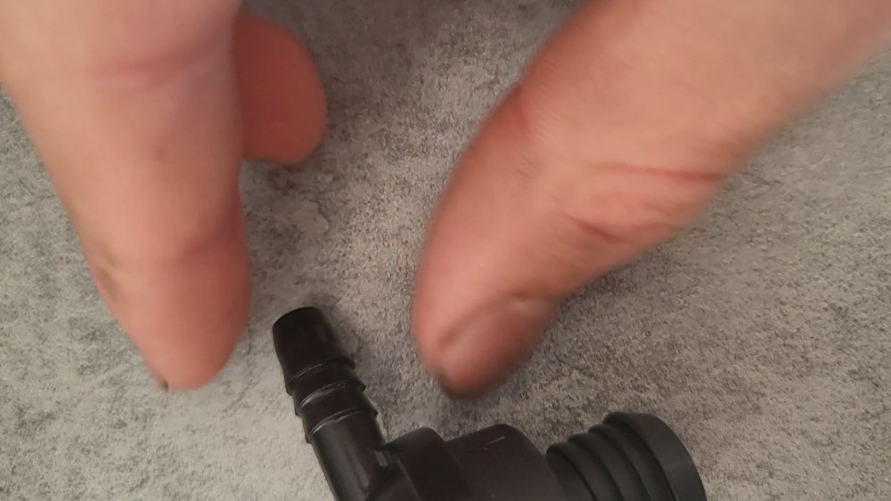 20251125_132946.jpg