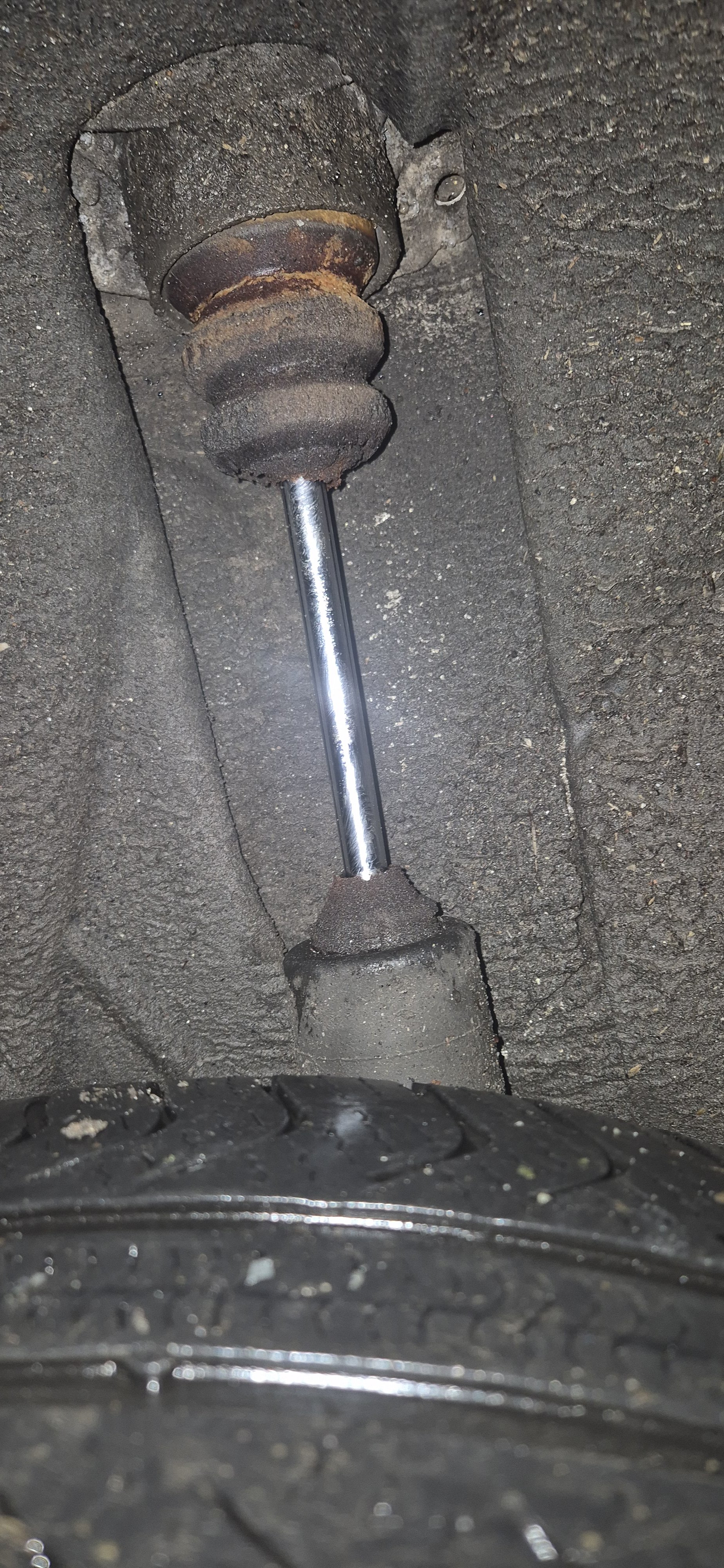 Rear shocks needed.