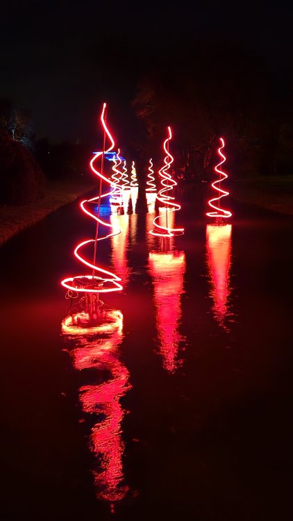 20251218_171232.jpg