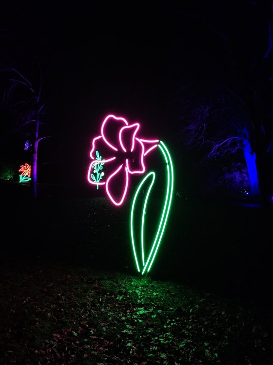20251218_180516.jpg