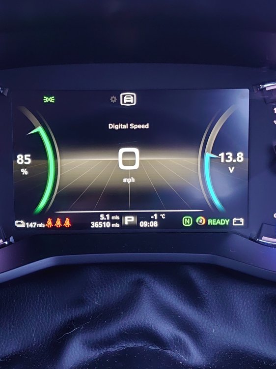 DSC_5532.JPG