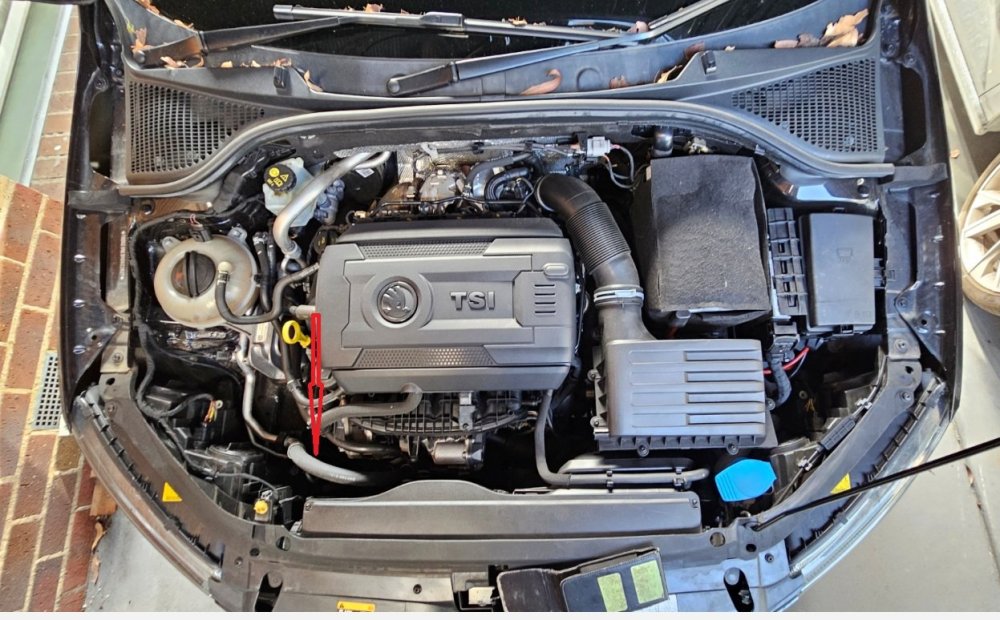 Engine bay.jpg