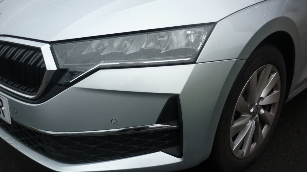 Octavia NSF wing 004.jpg