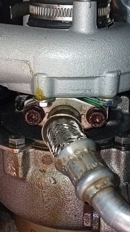 Untitled2.jpg