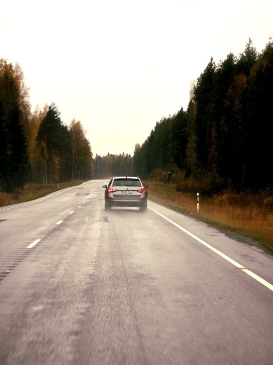 20251008_150817(1).jpg