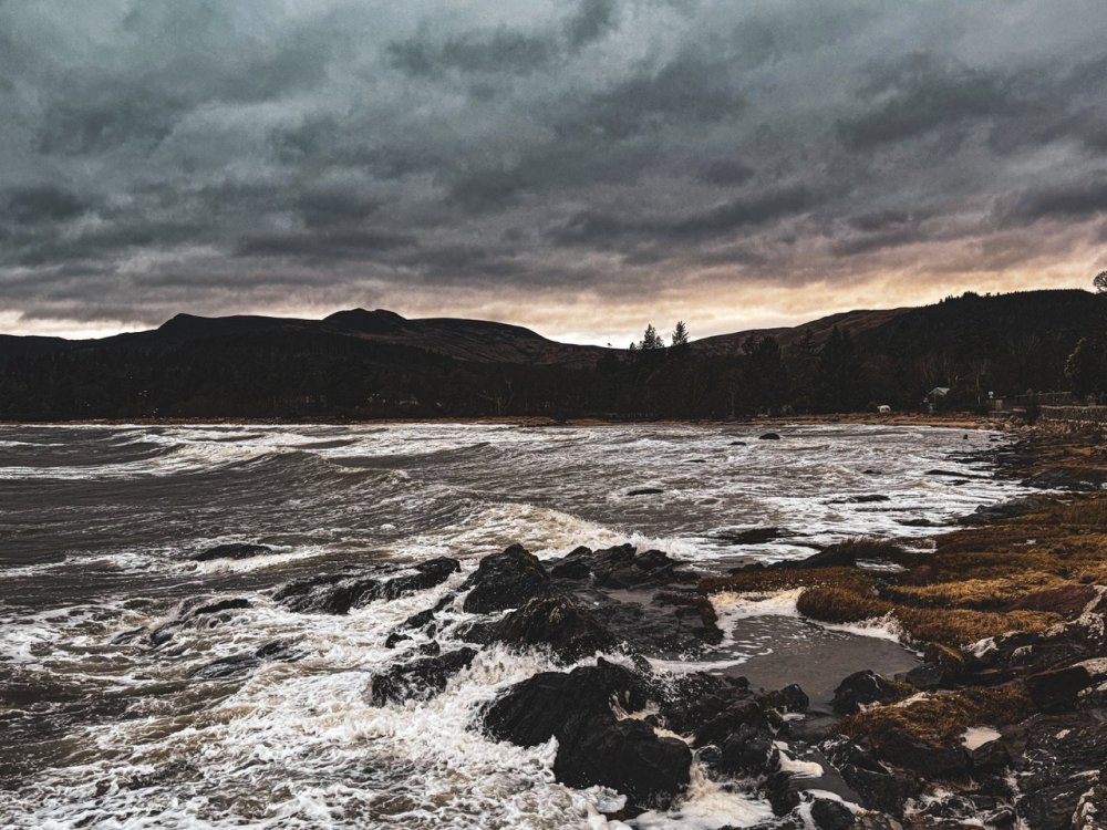 IMG_0134.jpeg