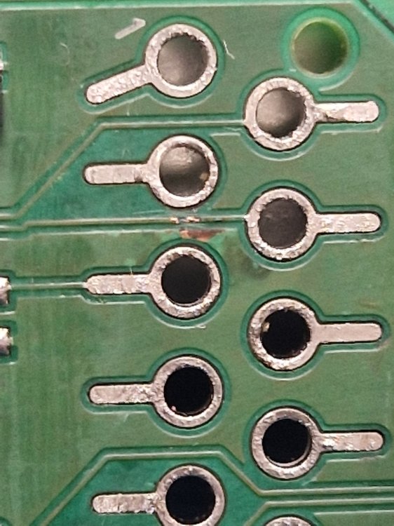 20251018_112813.jpg