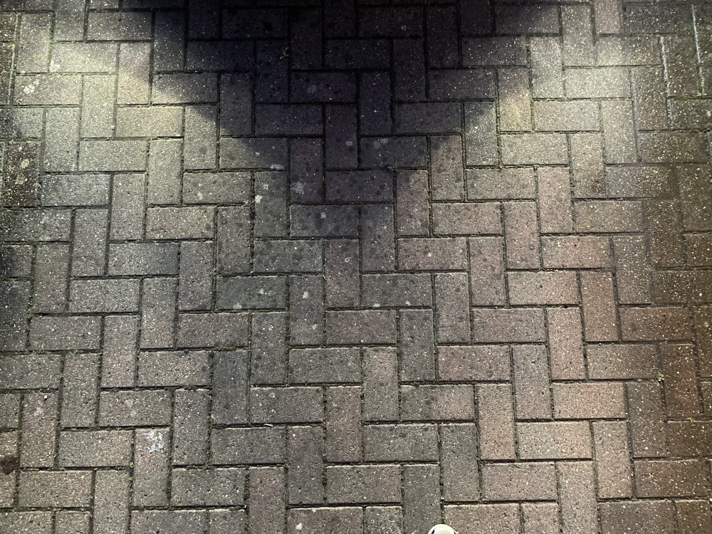 IMG_0504.jpeg