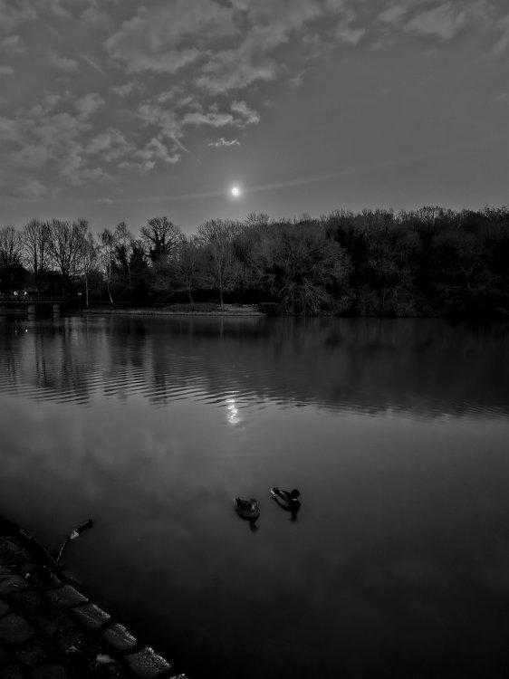20260302_182154~2.jpg