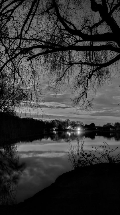 20260302_183152~2.jpg
