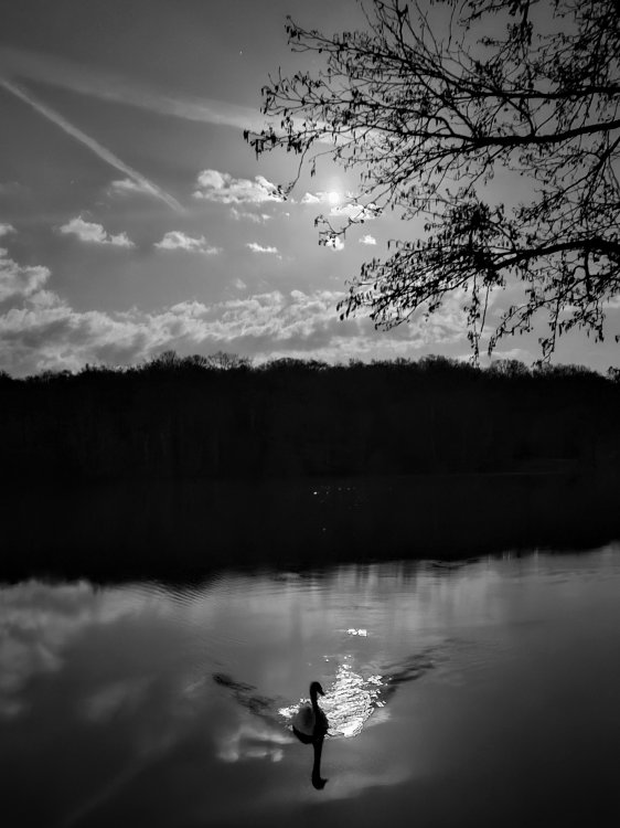 20260302_184537~2.jpg