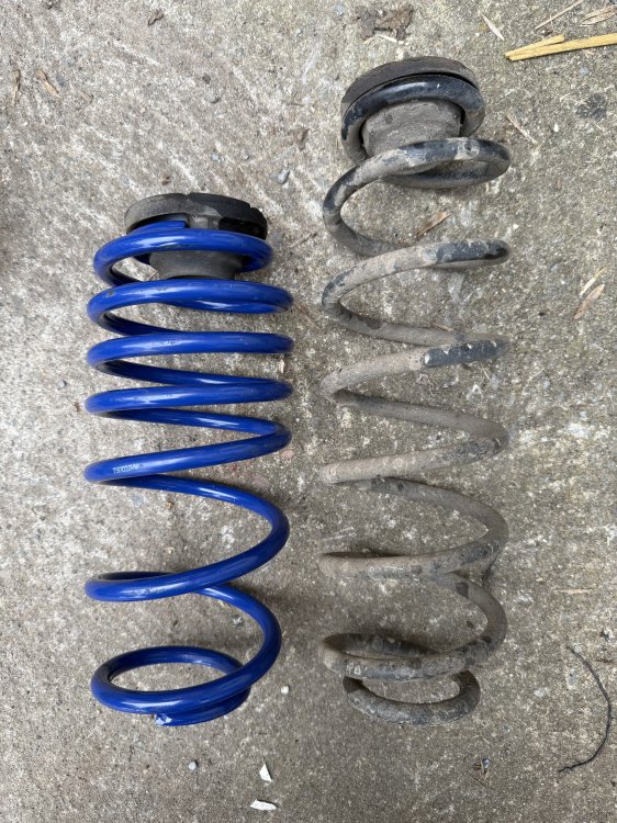 IMG_1831.jpeg