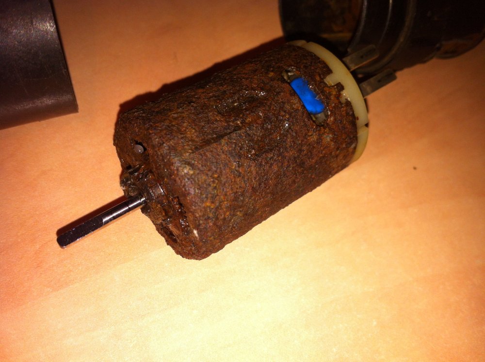 IMG_3994.JPG