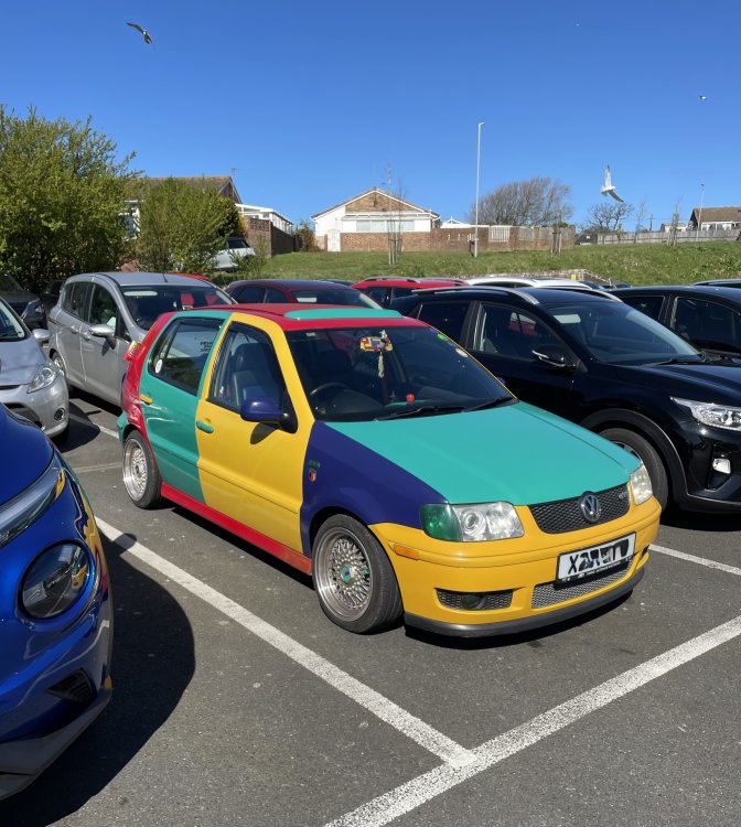 IMG_4300.jpeg