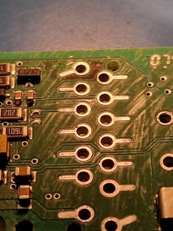 20260204_195257.jpg