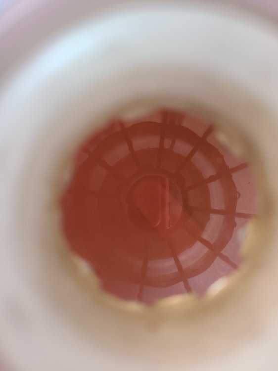 20260515_164148.jpg