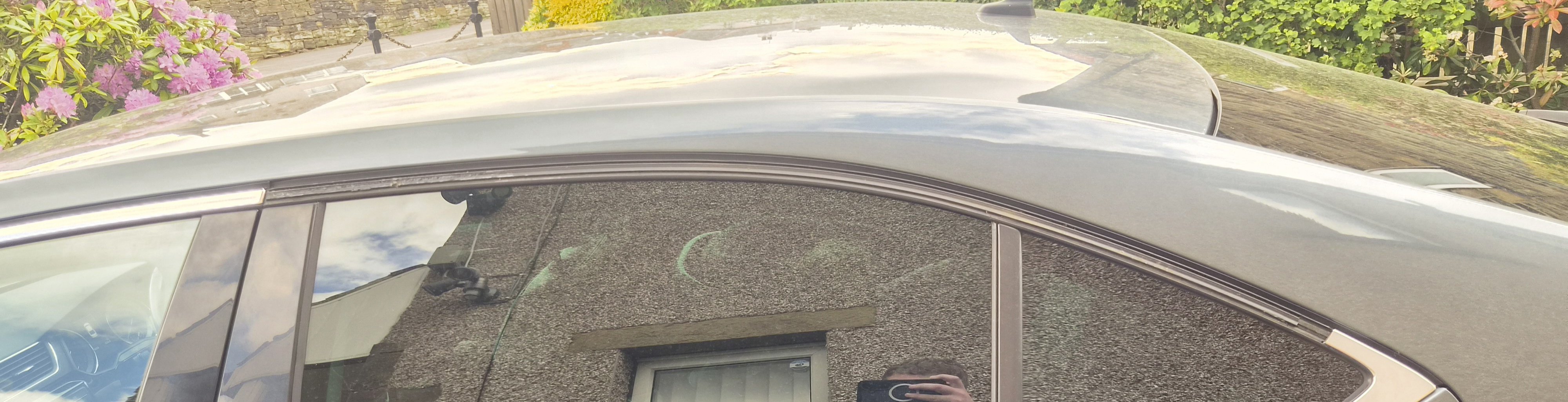 Rear Door/Window Chrome Trim