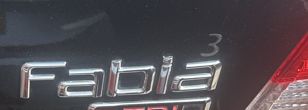 Fabia Lev 3 .jpg