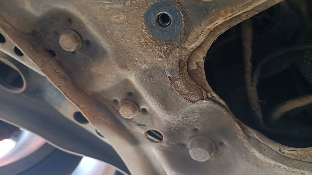IMG20260504090109.jpg
