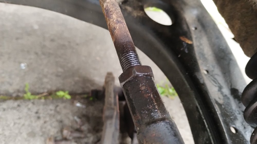 IMG_20260531_091532511.jpg