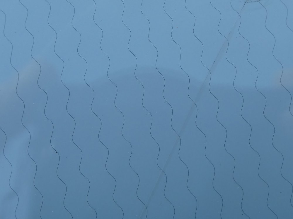 P1050322.JPG