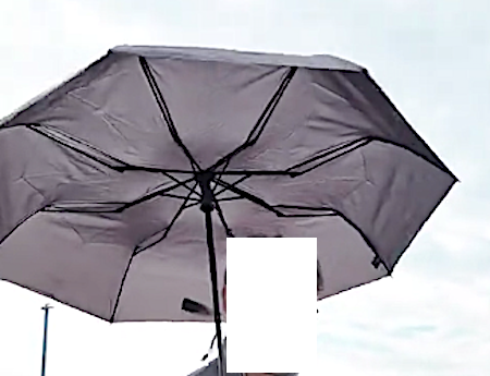 umbrella.png