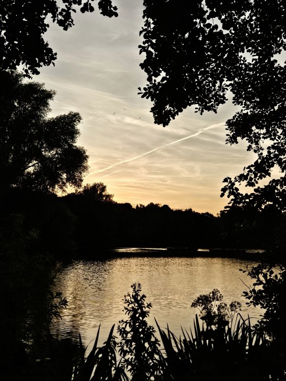 20260723_205150.jpg