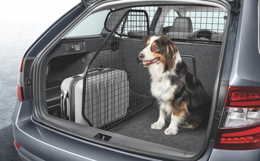 cargo area photo.jpg