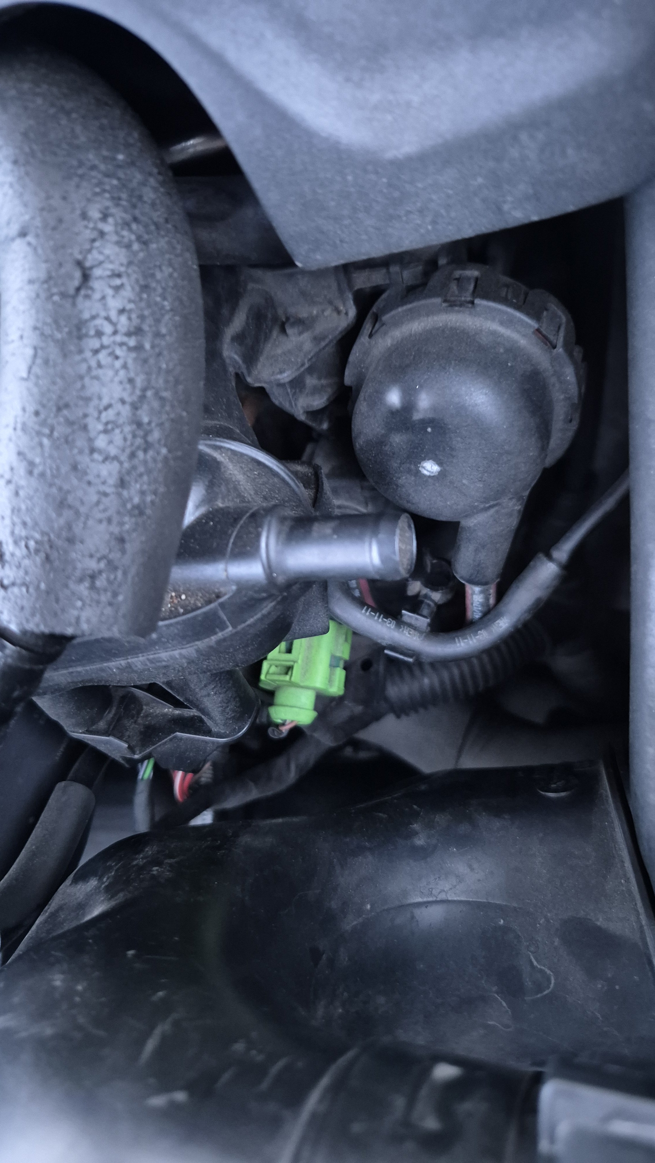 Persistent P0441 error on Octavia vRS MK2 2011