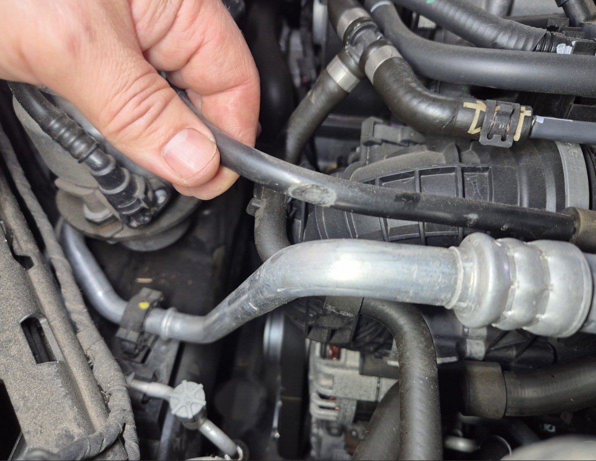 Can anyone help identify these hoses/parts