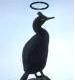 The Good Shag