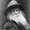 OldHairy