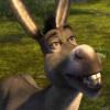 TechyDonkey